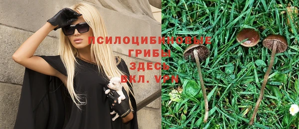 MDMA Приозерск